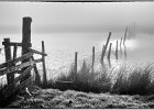 CALTON PASTURES POND 2.jpg